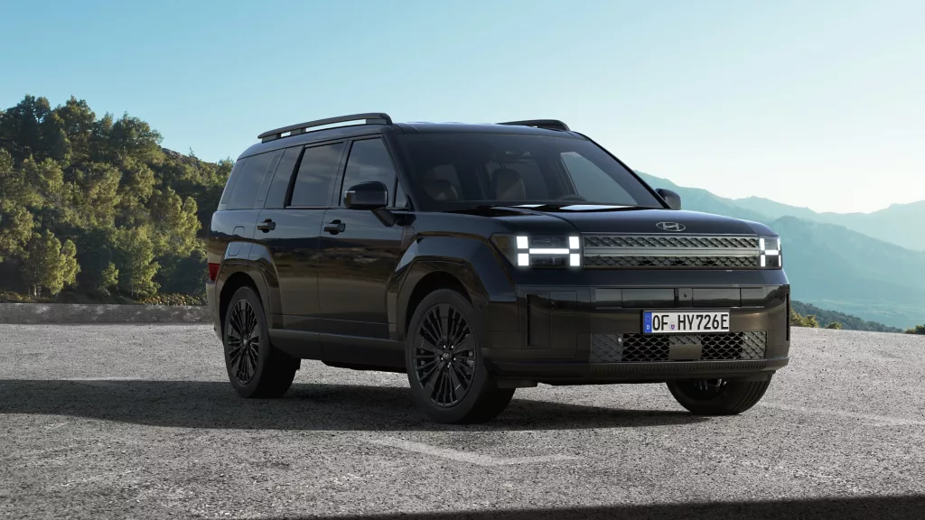 de Willermin - Vue face