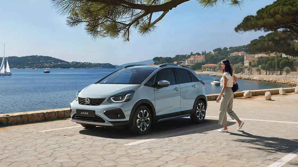 de Willermin - Vue profil