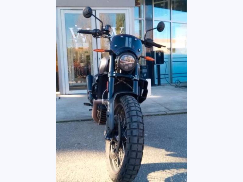 Image INDIAN MOTORCYCLE FTR RALLY FTR RALLY  FTR RALLY